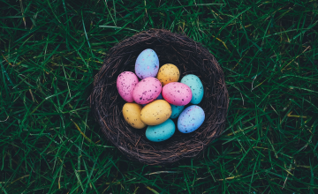annie-spratt-71673-unsplash