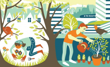 Urban-Suburban-Gardening-by-Hannah-Lewis