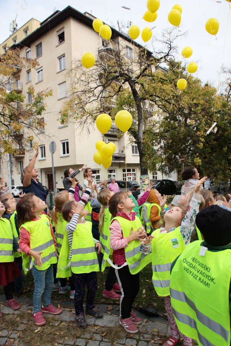 narcis_ultetes10