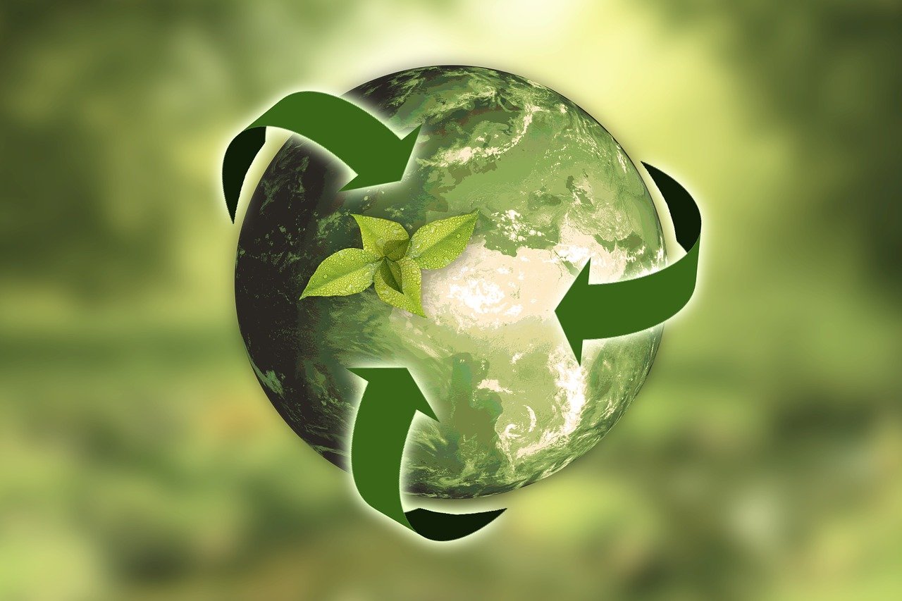 Magánkerti faosztás, ágaprítás és komposztláda osztás a Zöld Iroda szervezésében