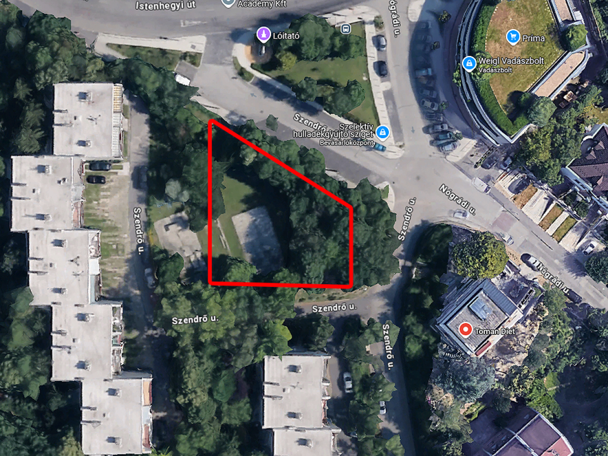 Újabb fakivágás az Istenhegyi úton – mit tehet (és mit nem tehet) az önkormányzat?