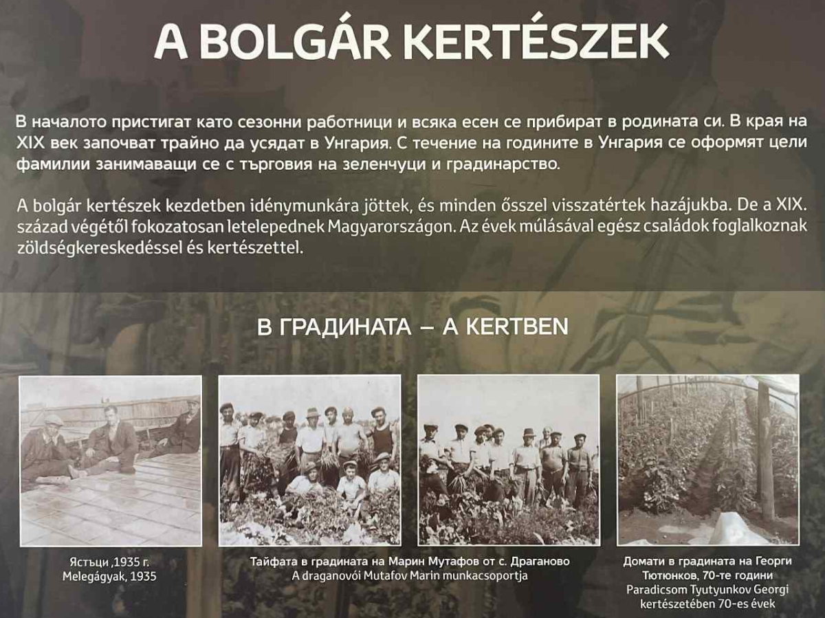 BOLGÁR KERTÉSZEK MAGYARORSZÁGON - kiállítás