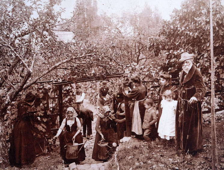 szuret_a_svabhegyen