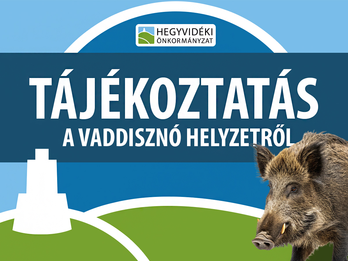 Vaddisznók a Hegyvidéken – mit tehetünk?