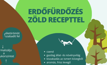 Erdőfürdőzés