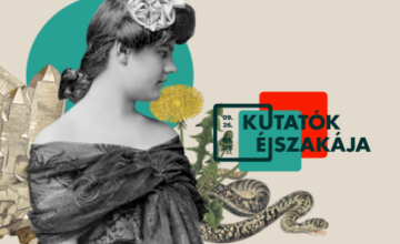 Kutatók éjszakája