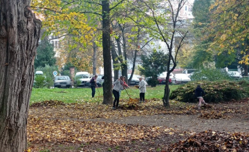 Gereblyézés a Majorban