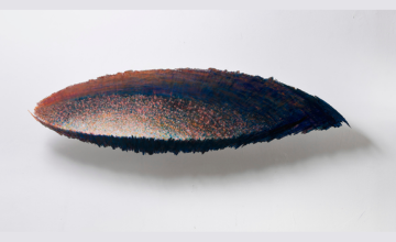 Kiállításmegnyitó | Organikusan sérülő szimmetria