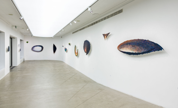 Organikusan sérülő szimmetria