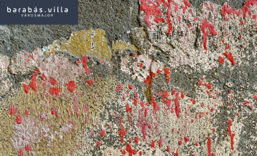 Károlyi Katalin fotókiállítása