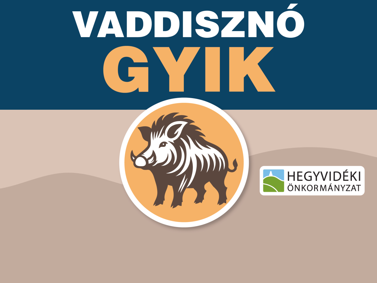 GYIK | Vaddisznók a belterületen és intézkedések