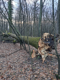 20260223_163046-fotor-2026022418559