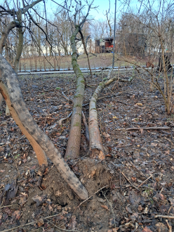 20260223_164314-fotor-2026022418723