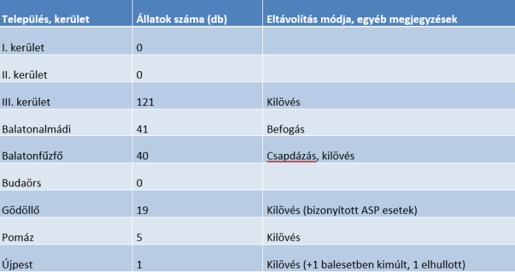 Kepernyokep_2026-04-22_105137