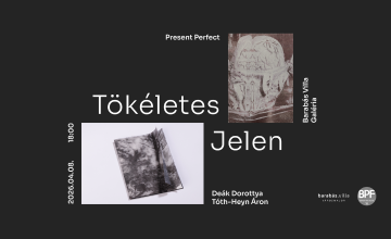 TÖKÉLETES JELEN / PRESENT PERFECT | Deák Dorottya & Tóth-Heyn Áron kiállítása