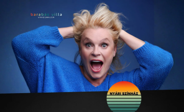 Történetek a konyhámból avagy Barbara, stand up!