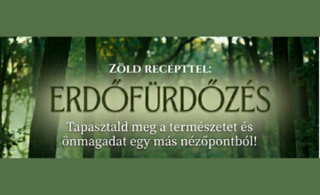 Erdőfürdőzés Zöld Recepttel