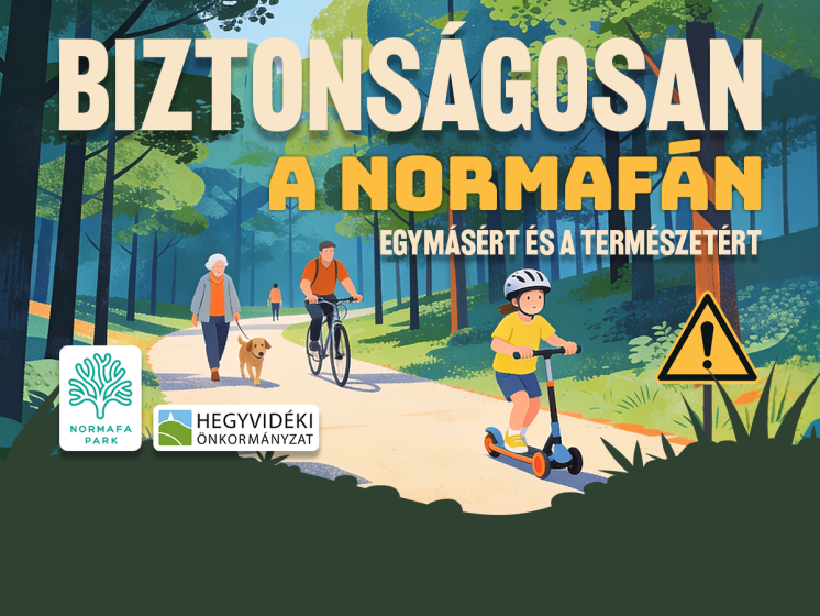 Biztonságosan a Normafán Biztonságosan a Normafán