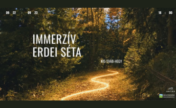 Immerzív erdei séta