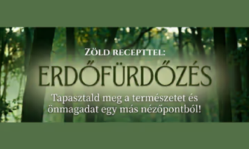 Erdőfürdőzés Zöld Recepttel